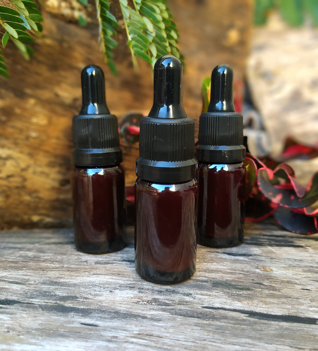 Seiva Sangue de Dragão - 10 ml, uso tópico