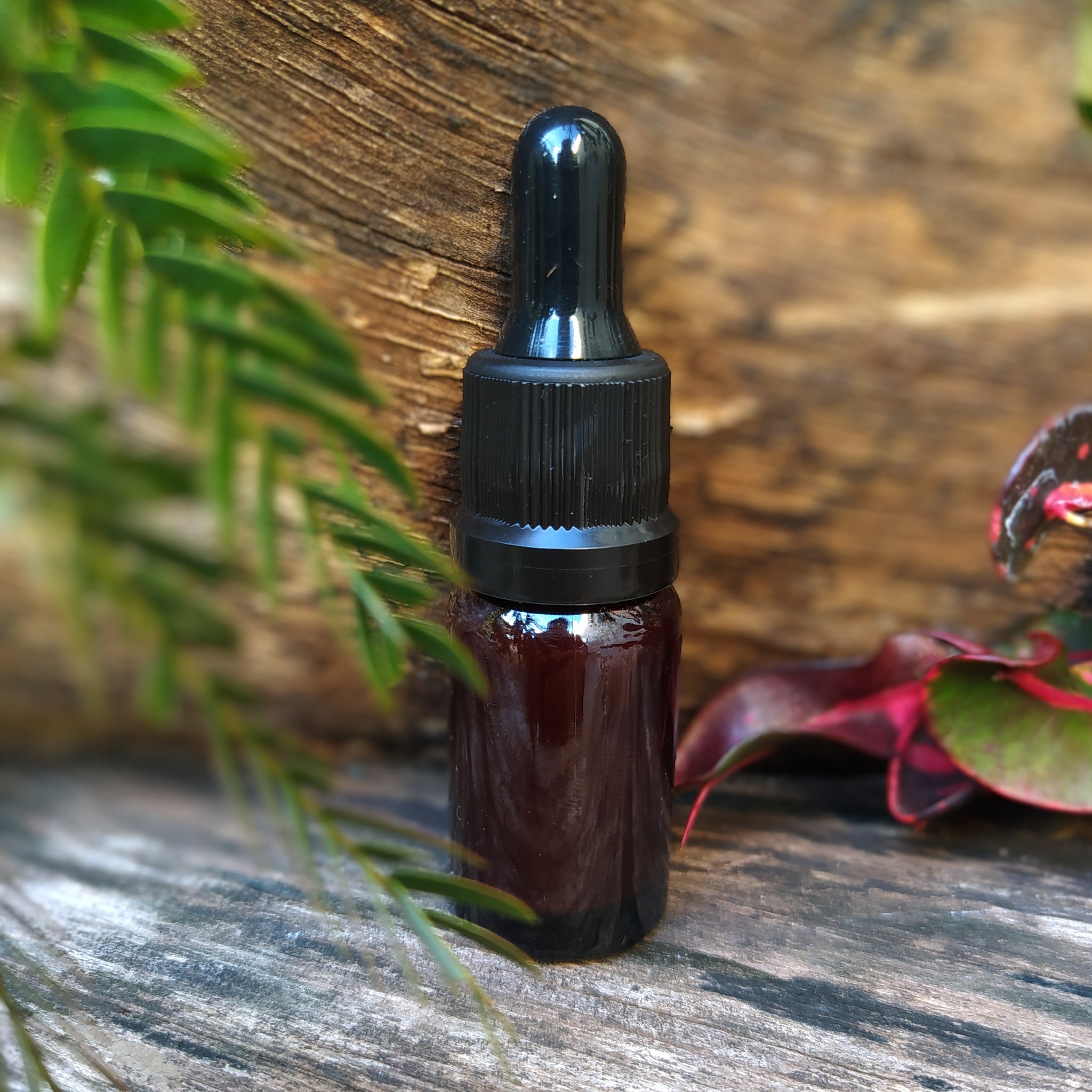 Seiva Sangue de Dragão - 10 ml, uso tópico